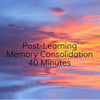 Post-Learning Memory Consolidation - 40 minutes