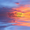 Study Focus - 30 minutes